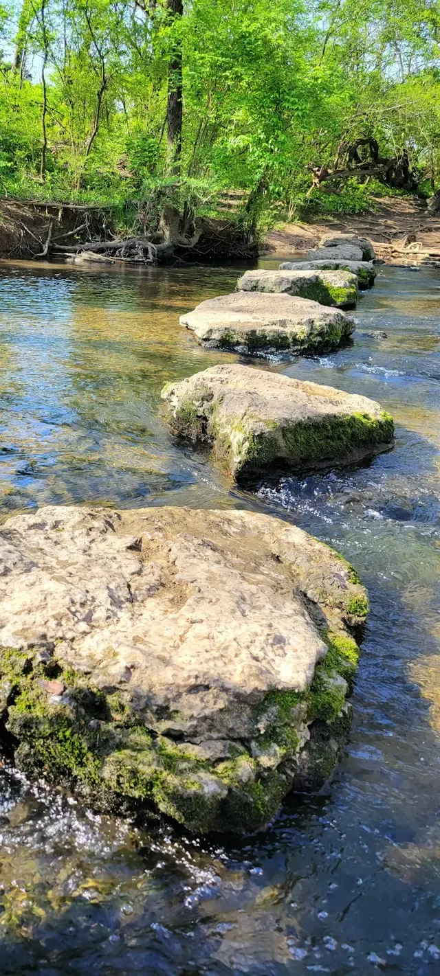 Stepping stones over water with greenery in the background
